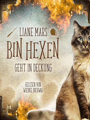 cover image of Bin Hexen 2